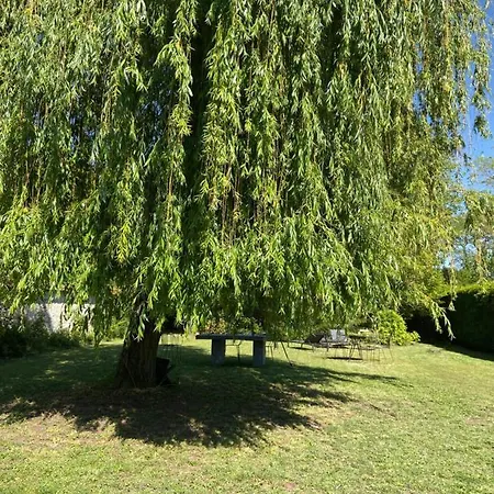 Cocon En Lisière De Forêt Bourron-Marlotte