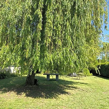 Couette-café Cocon En Lisière De Forêt Bourron-Marlotte