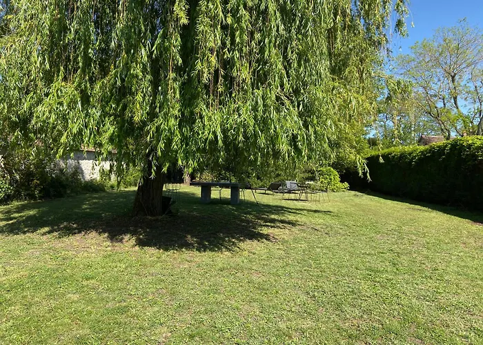 Cocon En Lisière De Forêt