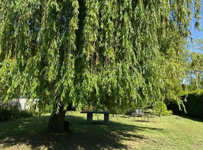 Cocon En Lisière De Forêt Bourron-Marlotte